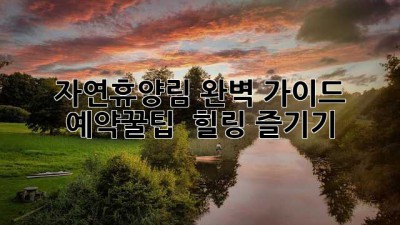자연휴양림🌳 완벽 가이드: 예약꿀팁 & 힐링 즐기기✨